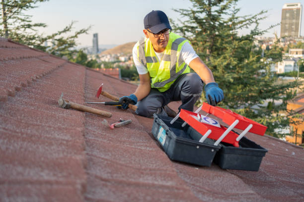 Best Insulated Siding Installation  in Pantops, VA